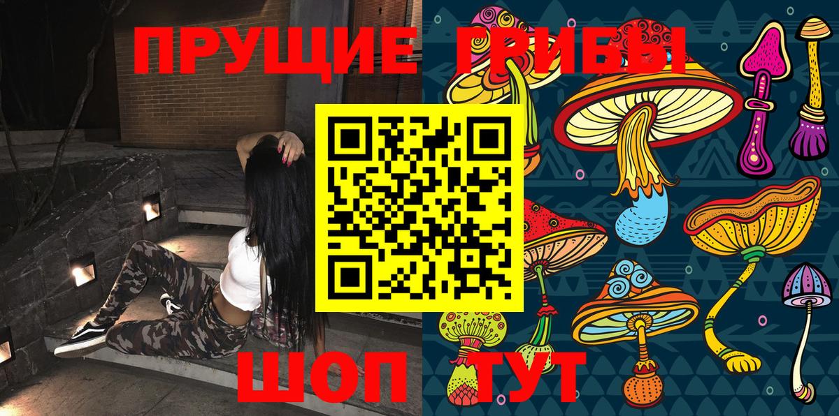 где можно купить наркотик  Вход с VPN  Галлюциногенные грибы прущие грибы  Новоалександровск  Галлюциногенные грибы MAGIC MUSHROOMS 