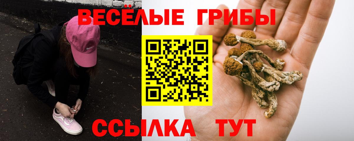Новоалександровск  ГАШИШ  COCAIN  A PVP СК кристаллы  MDMA  Вход с VPN  Бошки Шишки  МЕФ  